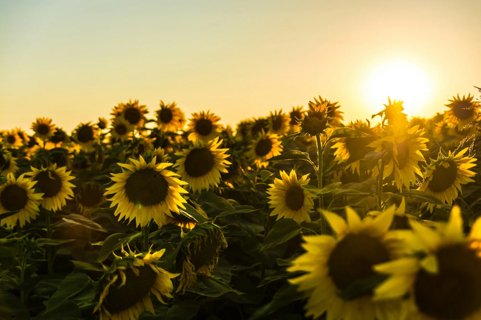 Money Matters - August 2025 Accounting Newsletter